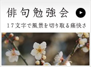 �o��׋���